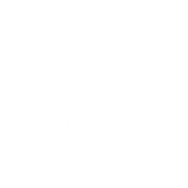 Birds At Five