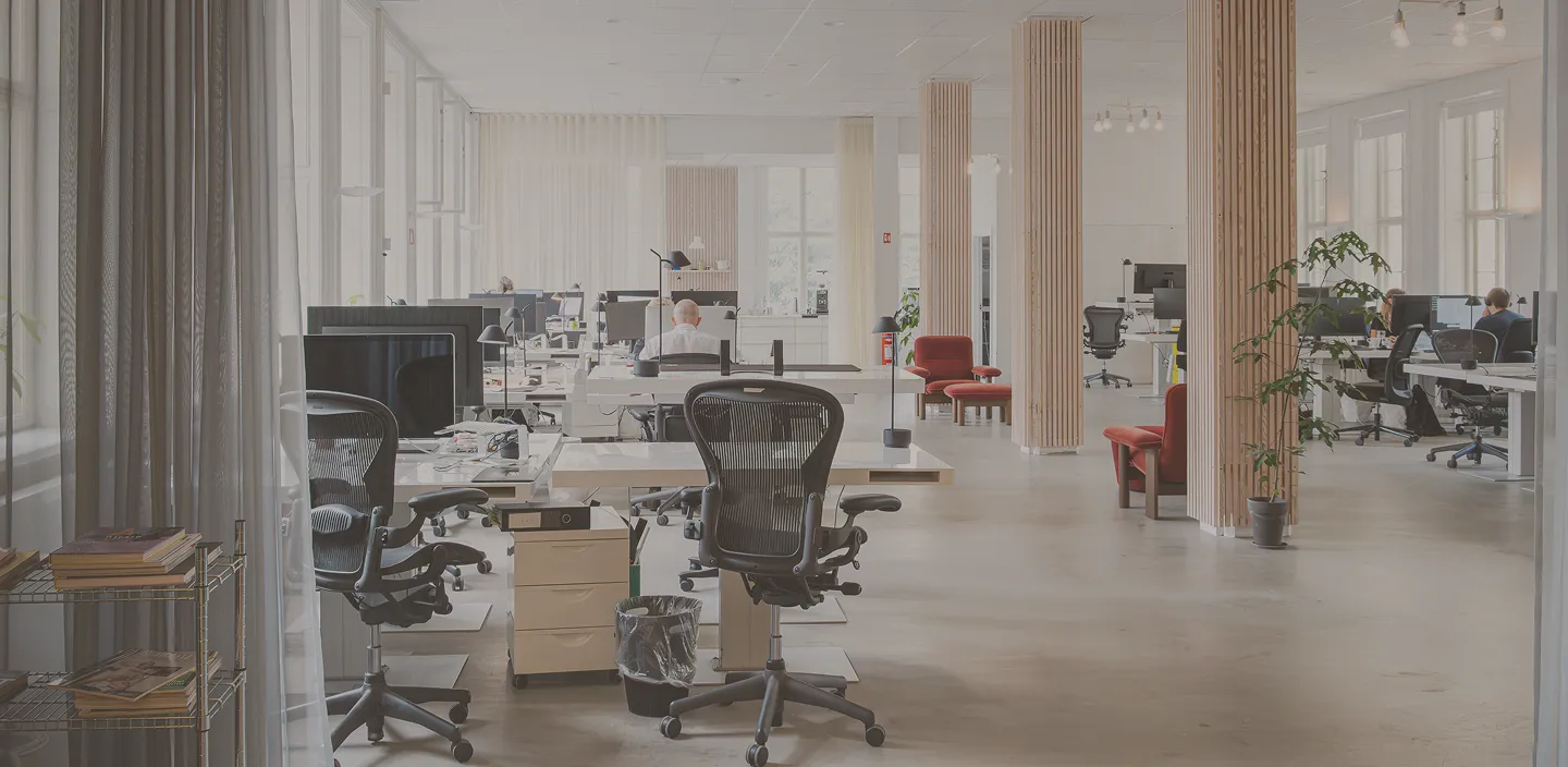 The BirdsAtFive office: long desks under tall windows